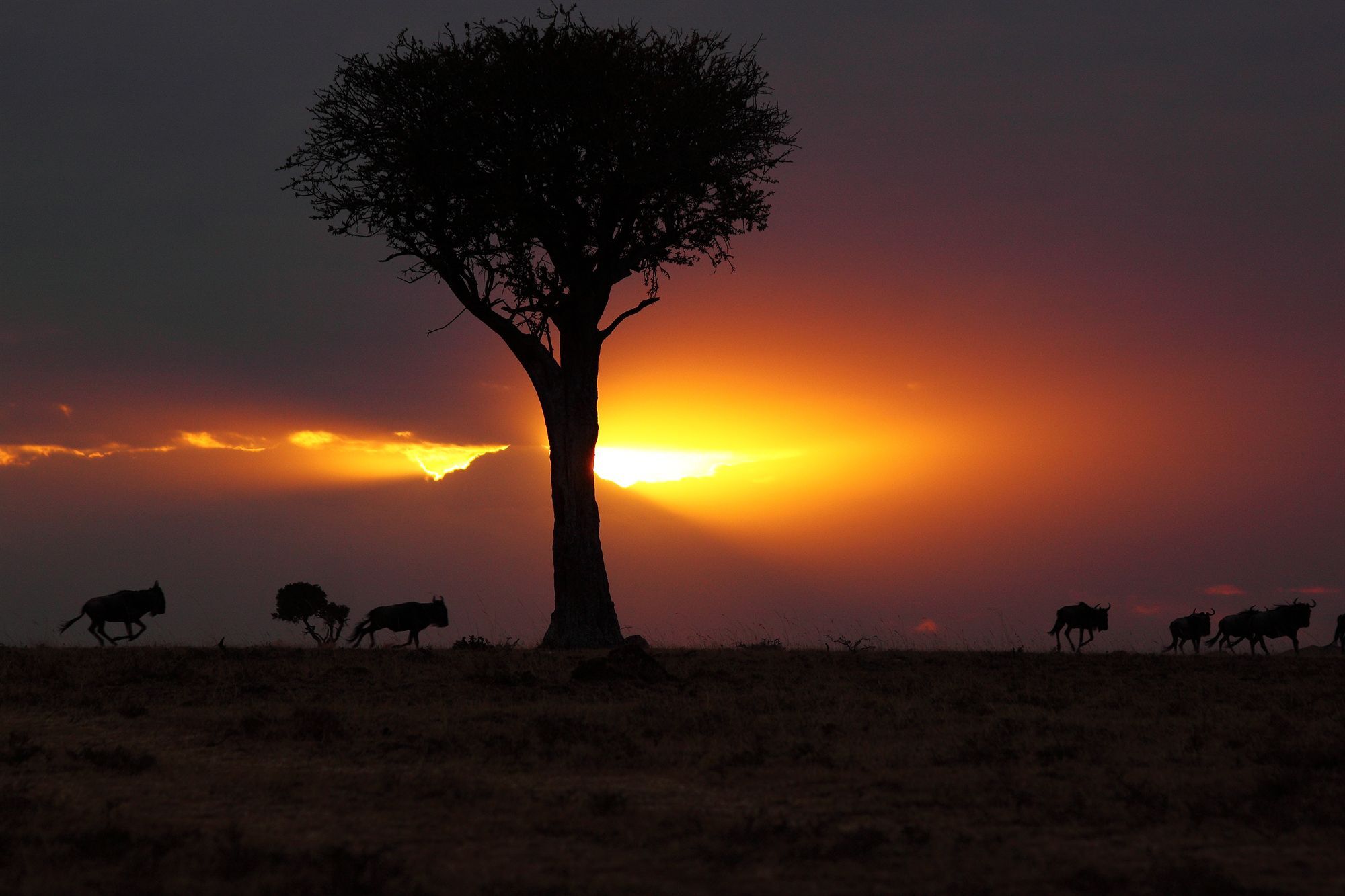 Loyk Mara Luxury Camp Maasai Mara Exterior foto